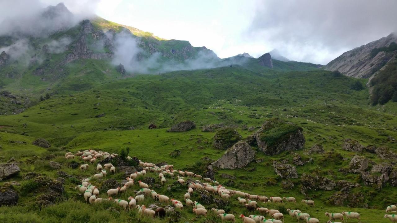 Gite De Montagne Du Plateau De Lhers- Accueil Randonneurs Accous Exteriör bild