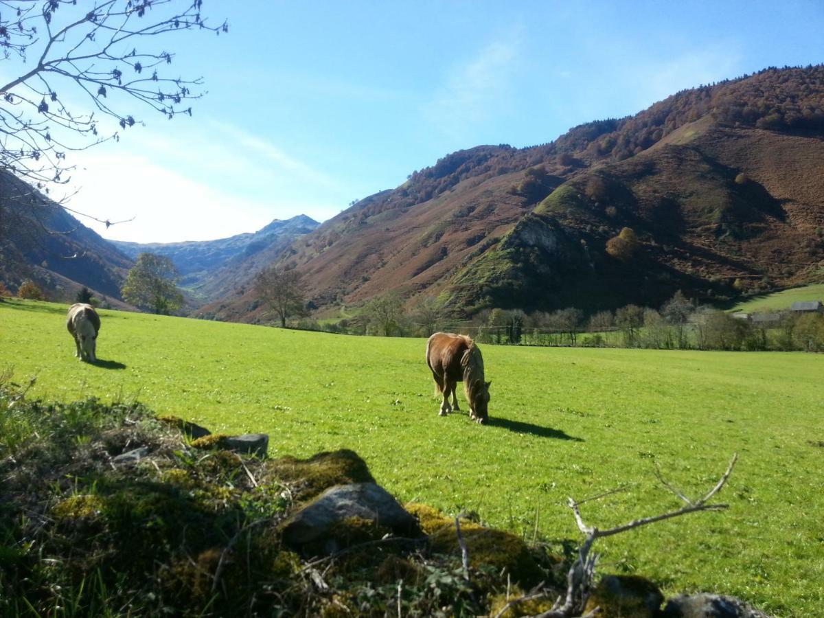 Gite De Montagne Du Plateau De Lhers- Accueil Randonneurs Accous Exteriör bild