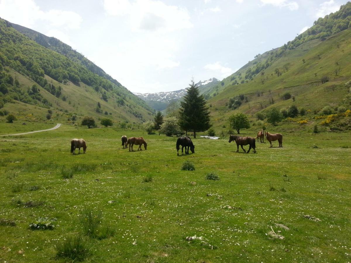 Gite De Montagne Du Plateau De Lhers- Accueil Randonneurs Accous Exteriör bild