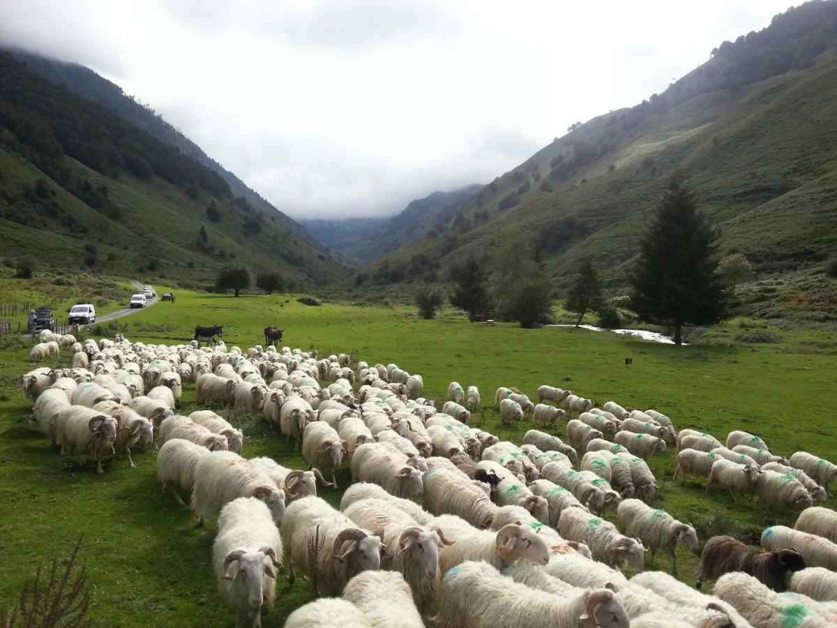 Gite De Montagne Du Plateau De Lhers- Accueil Randonneurs Accous Exteriör bild