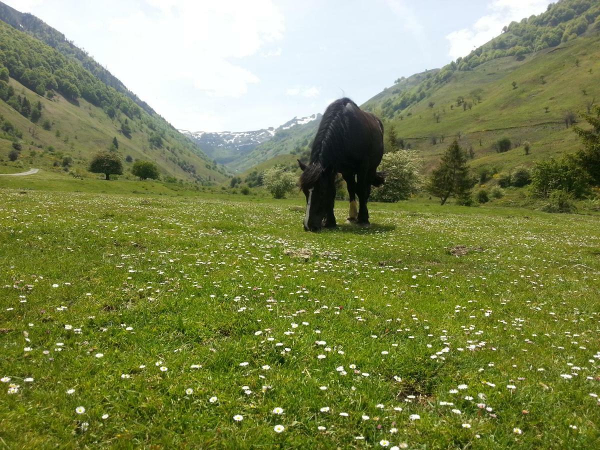 Gite De Montagne Du Plateau De Lhers- Accueil Randonneurs Accous Exteriör bild